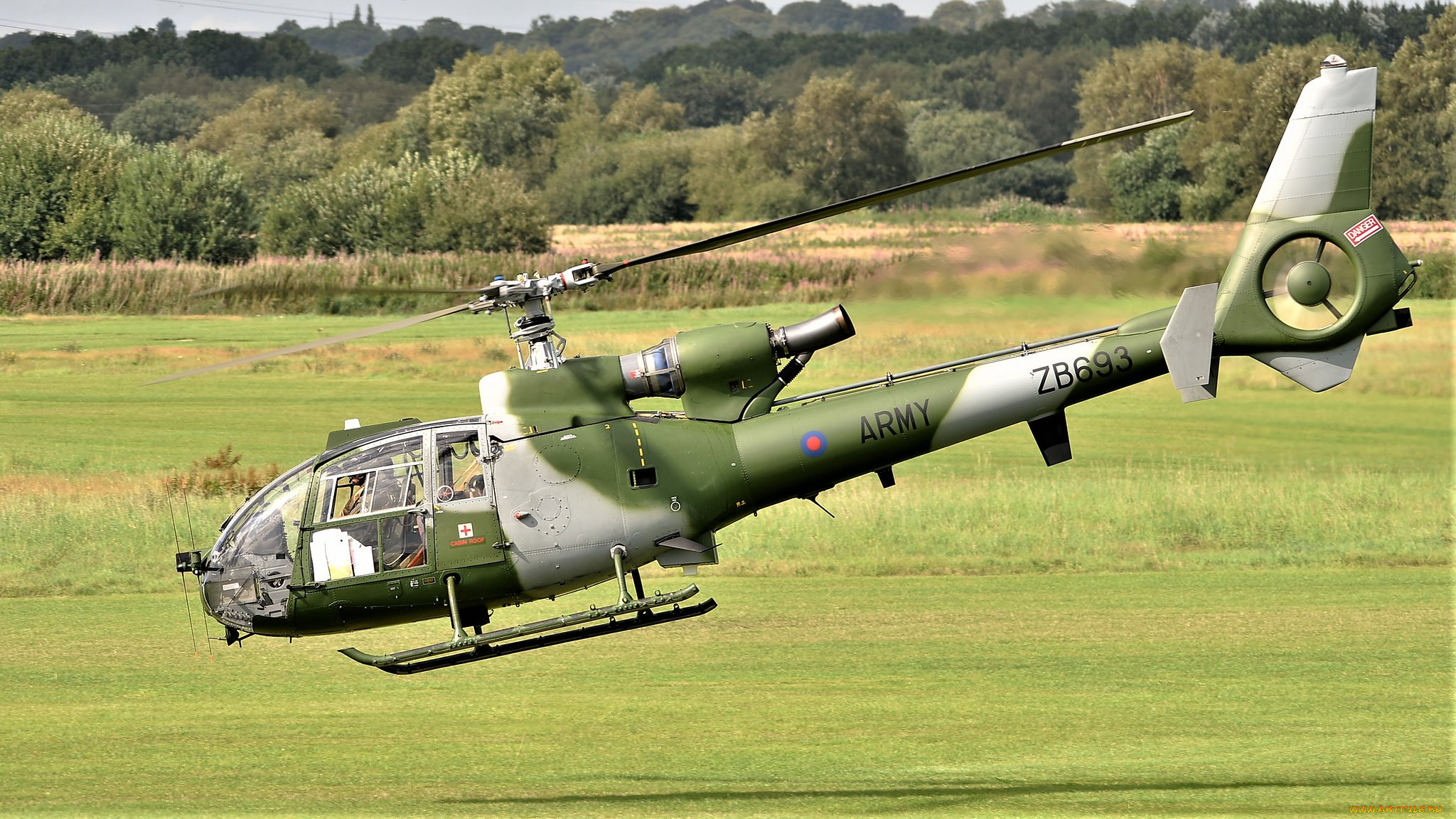 gazelle ah, , , 
